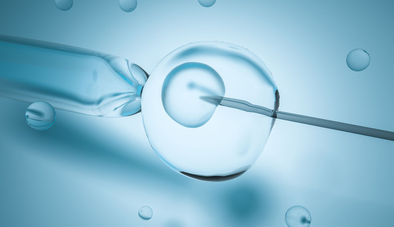 Diagnóstico Pré-implantação de Embriões