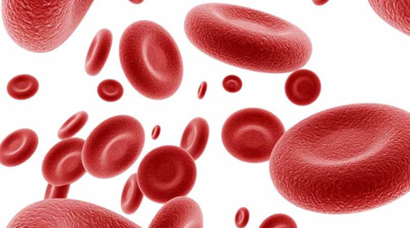 Aloimunização Rh na gravidez